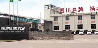 成都扬名食品有限公司